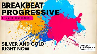 Download lagu DJ SILVER AND GOLD X RIGHT NOW