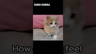 #20230126 #native #koreastudy #koreanmix #Surokorea #shorts