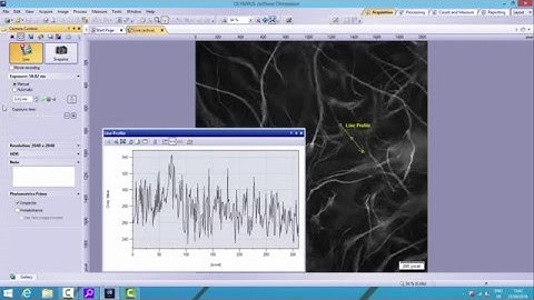Using the PrimeEnhance Camera Feature in Olympus CellSens Software
