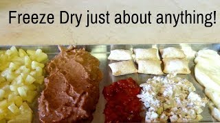 Freeze Drying a variety of things