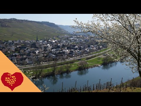 Zeltingen-Rachtig an der Mosel