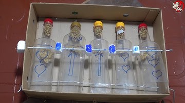 Bẫy chuột bằng chai nhựa siêu hiệu quả