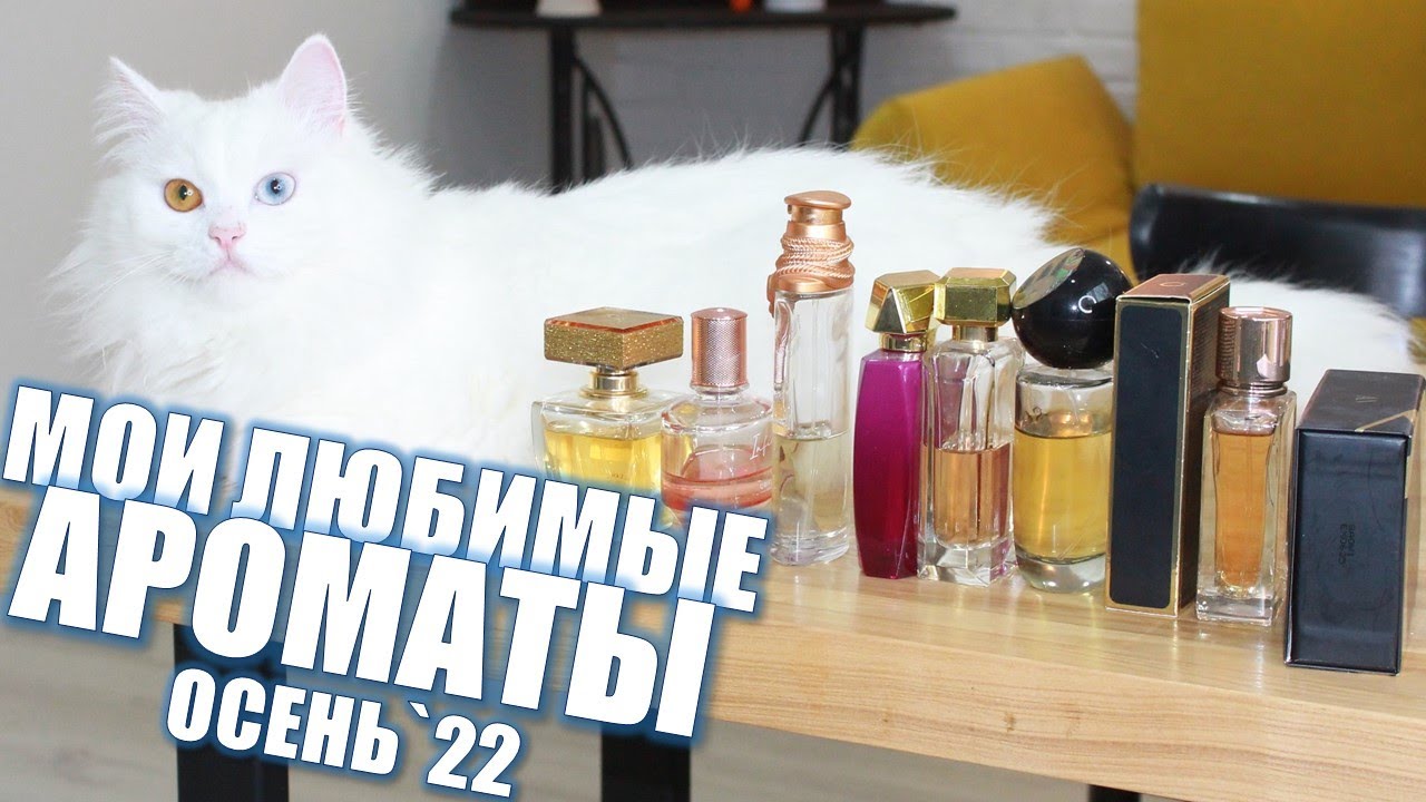 МОИ ЛЮБИМЫЕ АРОМАТЫ На Осень 2022