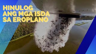 🛑HINULOG sa EROPLANO ang mga ISDANG ito | Aerial Fish Stocking in UTAH