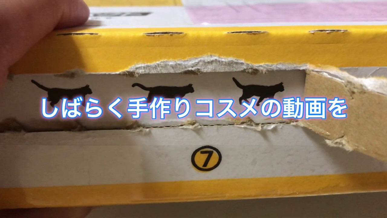 ハトムギ化粧水を作ろう Youtube