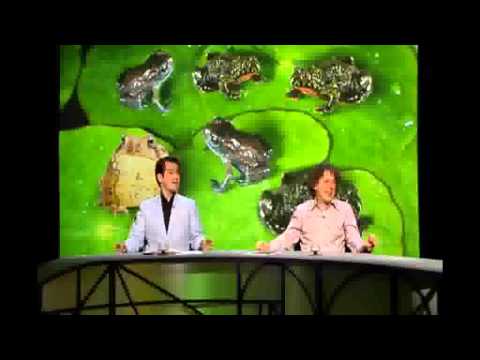 Qi - All About Toads, Alan Davies & His Dog