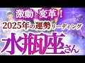水瓶座 2025年運勢【レベルアップ！手に入れるのは幸せと喜びの新しいカタチ】改善と進化の先にある大幸運　　年間ざっくりリーディング　みずがめ座　2025年　タロットリーディング