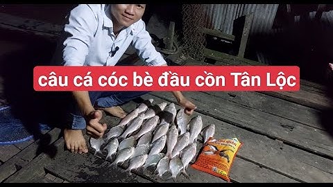 Chuyến câu bè đầu cồn Tân Lộc đầy cảm giác.Cá cóc,cá dãnh,...(Tập 21)