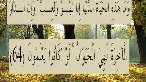 القران الكريم سورة العنكبوت الأية 64.wmv