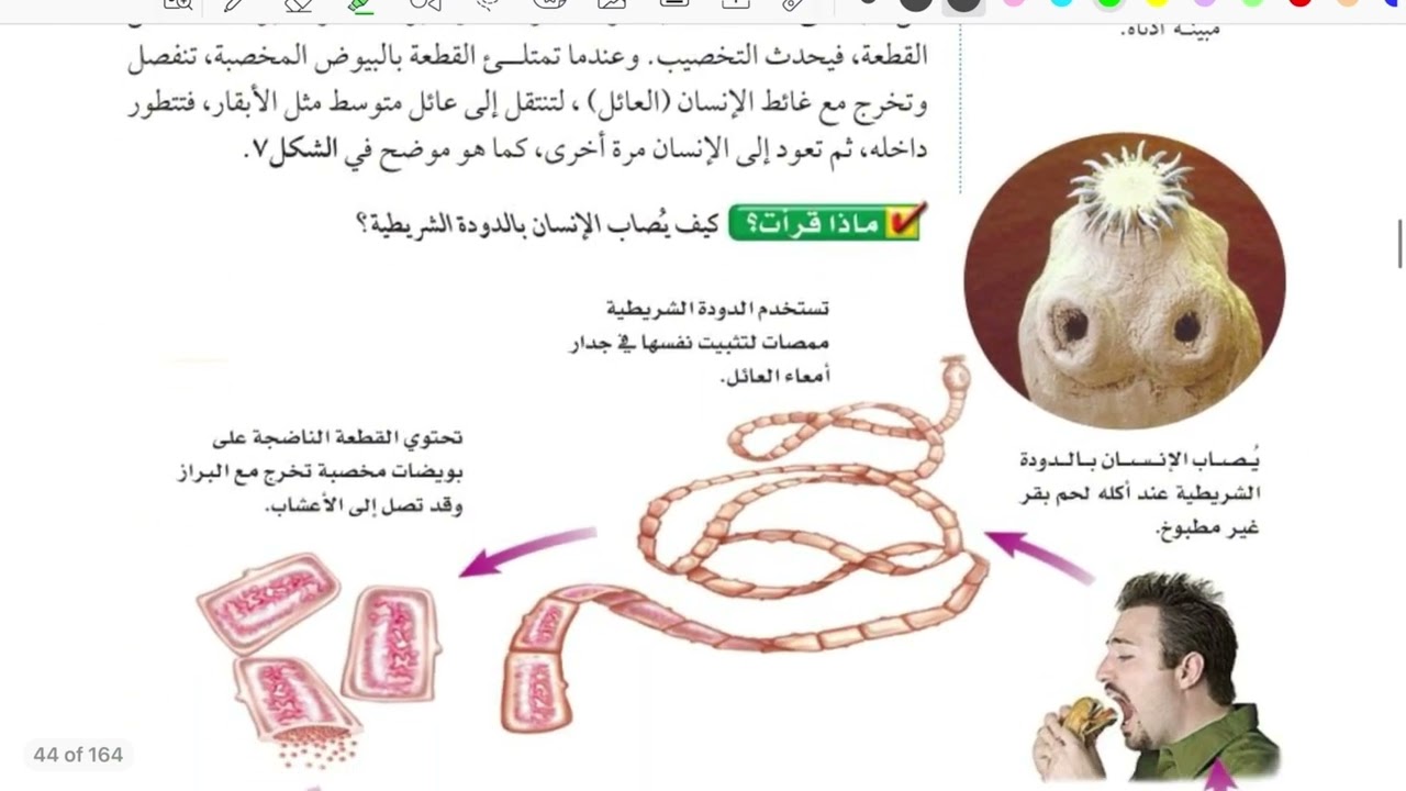 الاسفنجيات واللاسعات والديدان المفلطحة والديدان الأسطوانية علوم اول متوسط الجزء الثاني