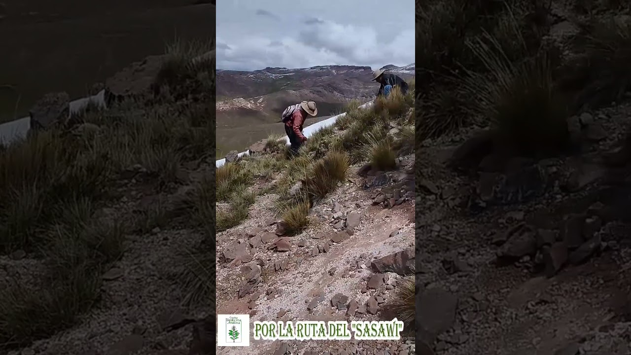 Portada del documental La Ruta del Sasawi