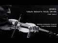 Grieg - Violin Sonata No.3, 1st mov. (Dennis Gasanov &amp; Yury Panov)