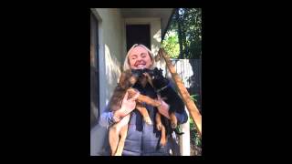 Dog Rescue Newcastle. Adopt. Foster. Volunteer. Donate.