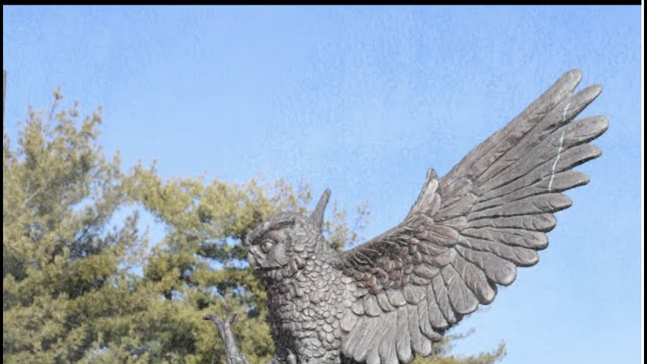 10/30/21 Brooklyn vs. Mount St. Mary (NY)