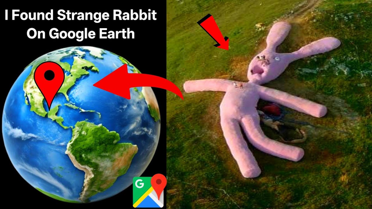 I Found Strange Rabbit On Google Earth #googleearth #googlemaps # ...