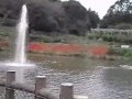 ☆茨城県　フラワーパーク　ダリア. の動画、YouTube動画。