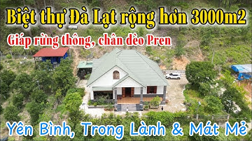🏡 Bán biệt thự chân đèo pren giáp rừng thông rộng hơn 3000m2 thành phố Đà Lạt - Lâm Đồng