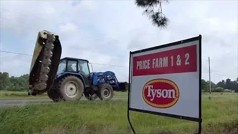 how much does a tyson chicken farmer make