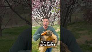Famous Snapping Turtle Bite! 😨 #shorts #turtle Profile
