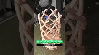 Weekly 3D Prints #1 Chain Link Vase #shorts