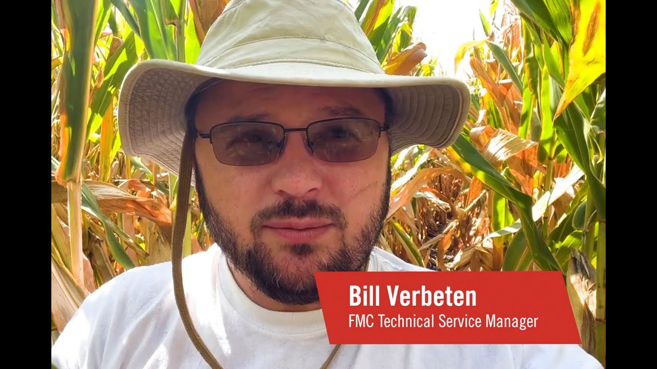 Xyway FMC Tech Talk: 2023 Xyway® LFR® Fungicide Trial Update – Iowa - YouTube