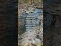 #now #being #nature #youtube