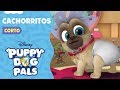 Cachorritos | A jugar con Puppy Dog Pals | Puppy Dog Pals