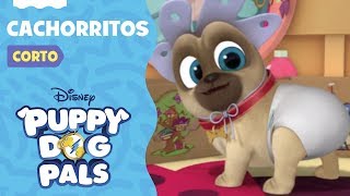 Cachorritos A Jugar Con Puppy Dog Pals Puppy Dog Pals