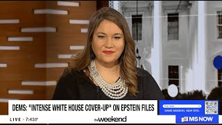 Skye Perryman on Trump-Vance Administration Handling of the Epstein Files