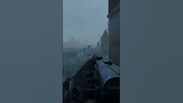 My aim in DayZ can be amazing sometimes... #pvp #dayz #pc