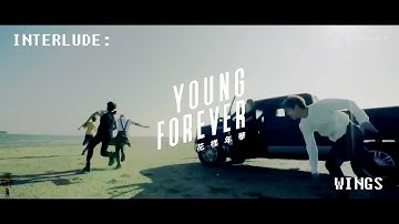 [MV] 방탄소년단 - Interlude: WINGS (fmv)