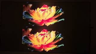 Valerion VisionMaster Pro 2(Top) Vs Max (Bottom) 2