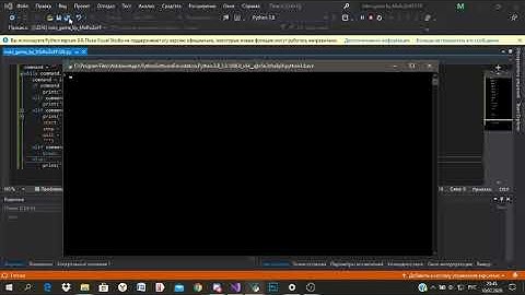 Результат создания мини-игры в Visual Studio на Python 3.8.3