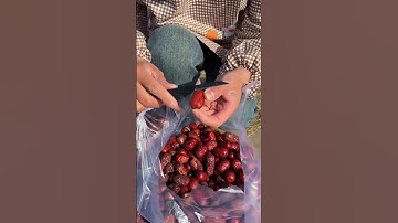 Delicious Chinese Red Dates | Amazing Jujube Fruits Harvest by RuralFarmer #shorts#fruit #harvest