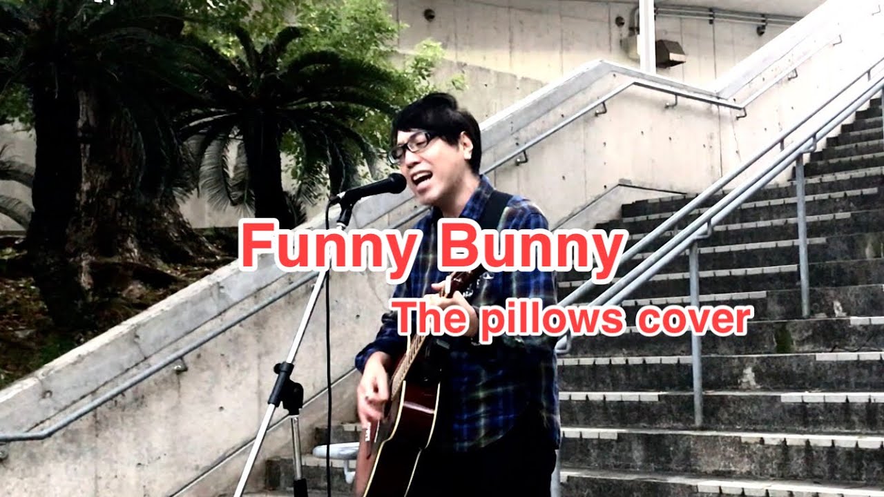 弾き語りFunny Bunny(The pillows cover) YouTube