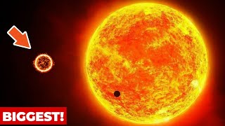 This is the Biggest Star ever Discovered!