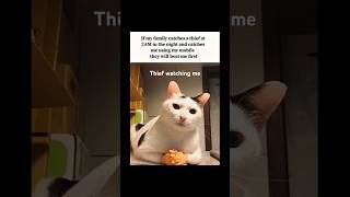 Thief in the house ❌ | Me using phone at 2 AM ✅ Target 💀