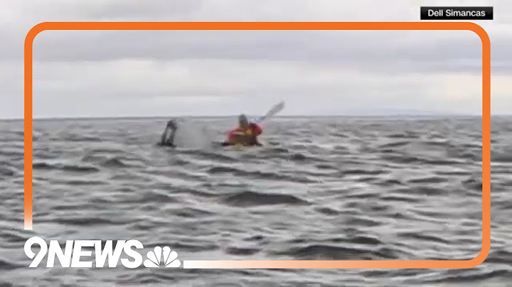 Humpback whale swallows, spits out kayaker in Chile