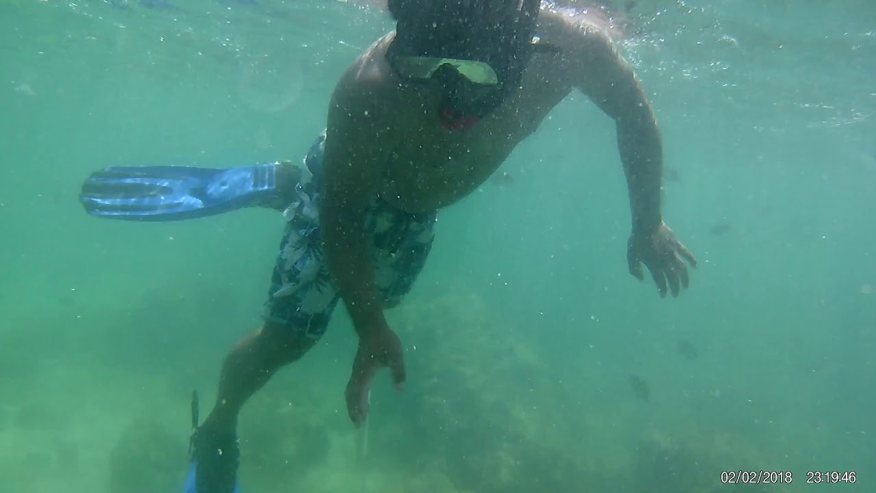 Snorkling krabi thailand YouTube