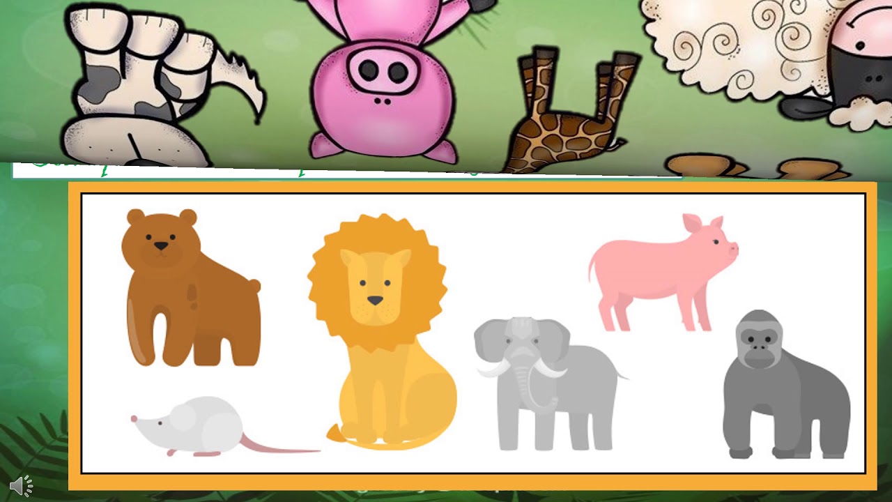 ANIMALES VIVÍPAROS Y OVÍPAROS YouTube