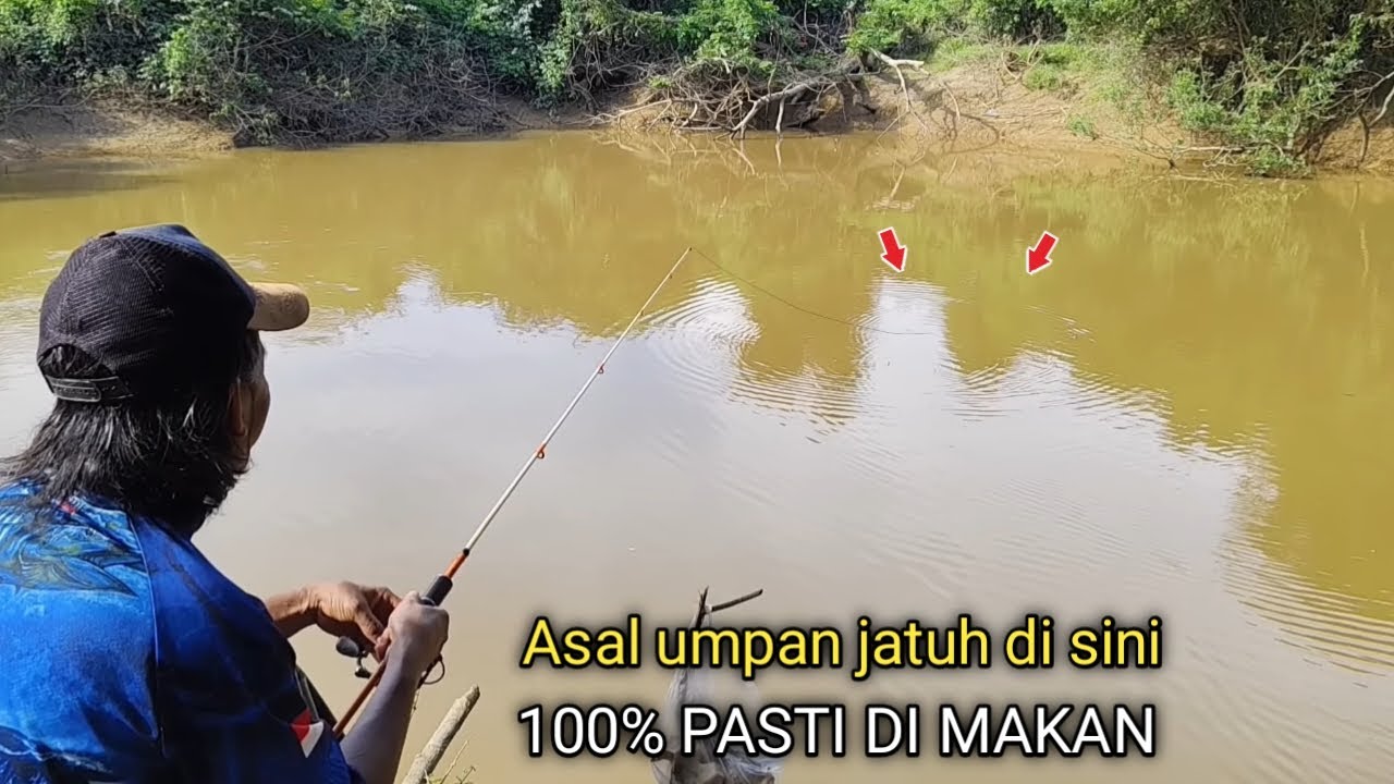 Benar-benar BAR BAR..!! Mancing di serbu ratusan gerombolan ikan lais kaca
