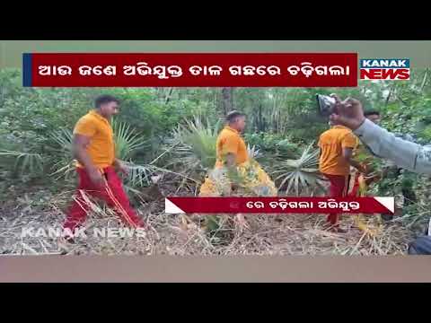 Shocking! After Assaulting Teacher, Accused Hides on Tree in Astaranga