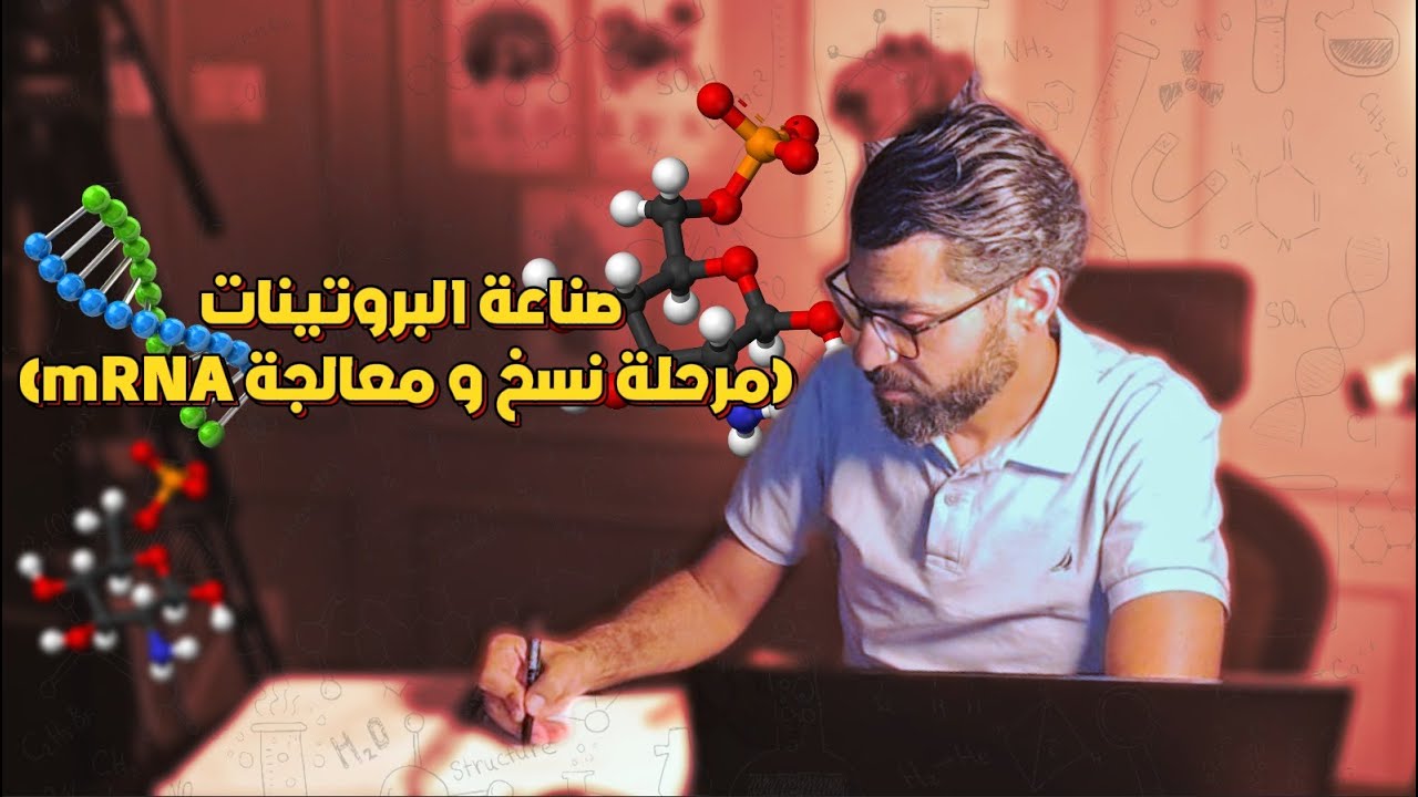 بالمختصر - صناعة البروتينات مرحلة نسخ و معالجة mRNA حسين استستية