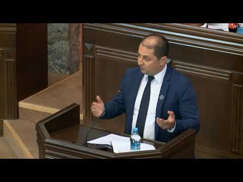 საქსტატის 2019 წლის საქმიანობის ანგარიშის მოსმენა  საქართველოს პარლამენტში