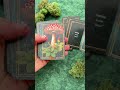 Red Wheel/Weiser - Mini Decks  #tarot #tarotreading