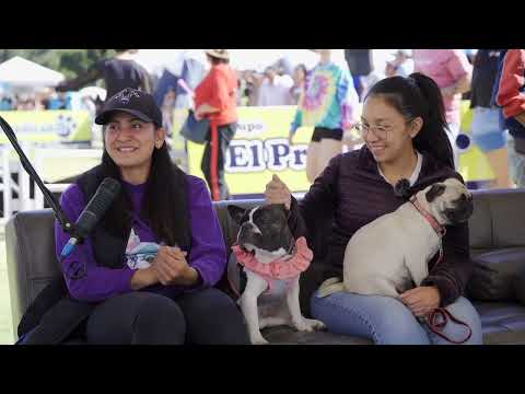 KAPA Pet una guardería que se especializa en bulldog francés 🐽 ft Karol Arias