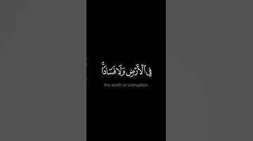 تلك الدار الأخرة - #سعود_الشريـم  - #كروما #سورة_القصص #حالة_واتس