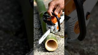 bamboo cutting machine #shorts