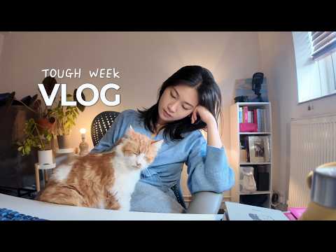 직장 생활이 버거운 한 주 | 영국 일상 vlog