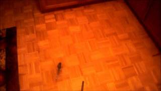 Brushless mcp X Maiden Hover!